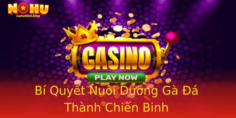 Bí Quyết Nuôi Dưỡng Gà Đá Thành Chiến Binh Bí Quyết Nuôi Dưỡng Gà Đá Thành Chiến Binh