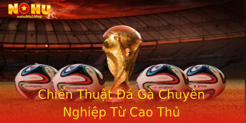 Chiến Thuật Đá Gà Chuyên Nghiệp Từ Cao Thủ Chiến Thuật Đá Gà Chuyên Nghiệp Từ Cao Thủ