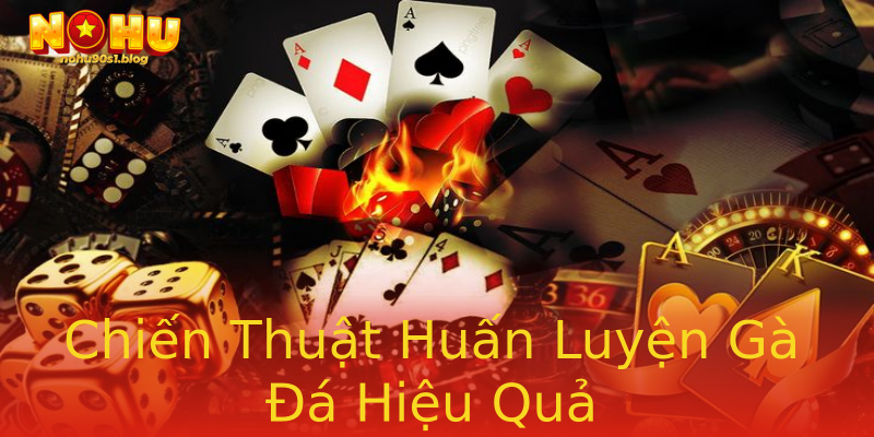 Chiến Thuật Huấn Luyện Gà Đá Hiệu Quả Chiến Thuật Huấn Luyện Gà Đá Hiệu Quả