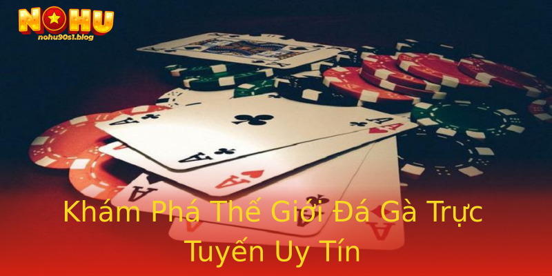 Khám Phá Thế Giới Đá Gà Trực Tuyến Uy Tín Khám Phá Thế Giới Đá Gà Trực Tuyến Uy Tín