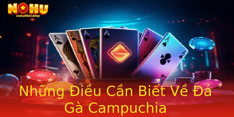 Những Điều Cần Biết Về Đá Gà Campuchia Những Điều Cần Biết Về Đá Gà Campuchia