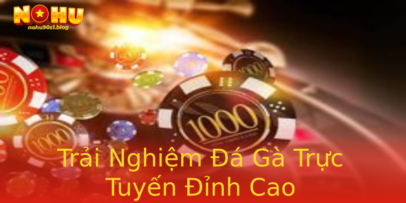 Trải Nghiệm Đá Gà Trực Tuyến Đỉnh Cao Trải Nghiệm Đá Gà Trực Tuyến Đỉnh Cao